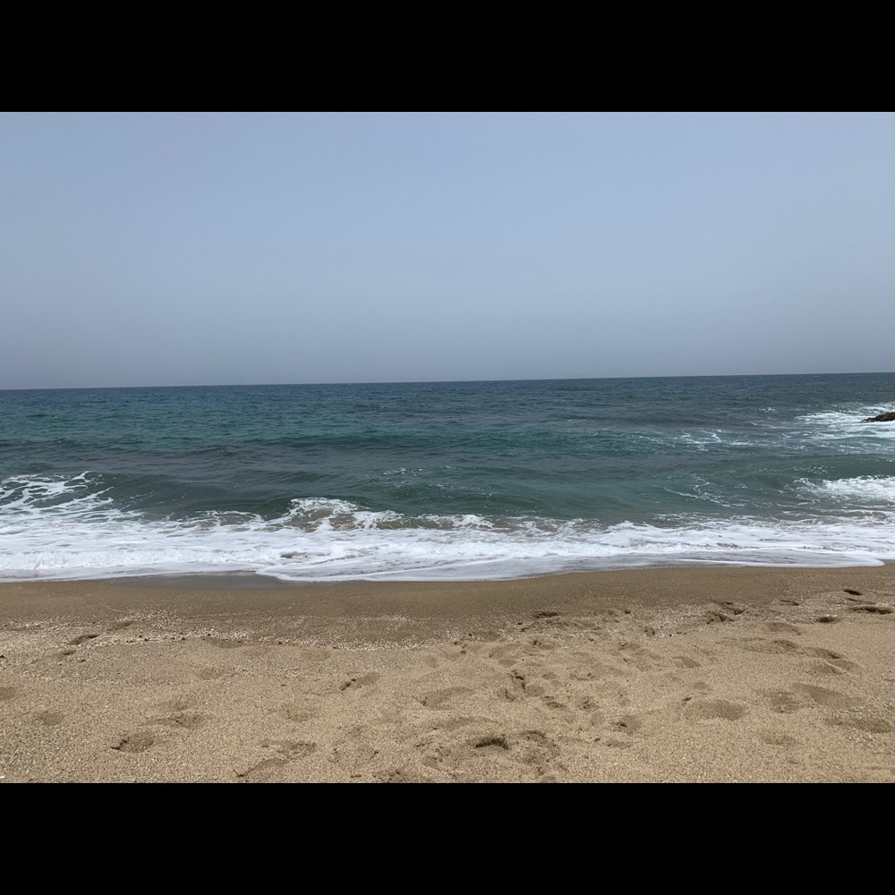 Meet your Posher, Jeanette